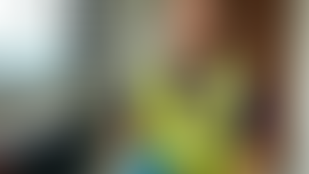 District Pest Control for Waterford County, Ireland