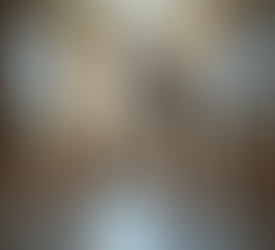 Top Reasons to Trust District Pest Control for Rodent Extermination in Ireland