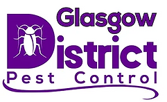 Bed bug treatment glasgow