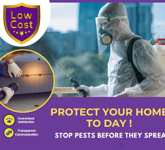 District Pest Control Cork - Protect Your Home Today!