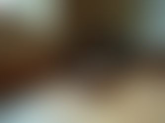 Reasons to Hire a Professional Mouse Exterminator in Ireland