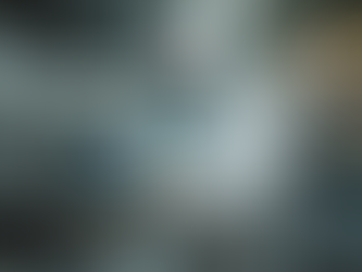 Belfast Pest Control Supporting Local Businesses Since 2016