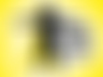 História do Projeto Setembro Amarelo