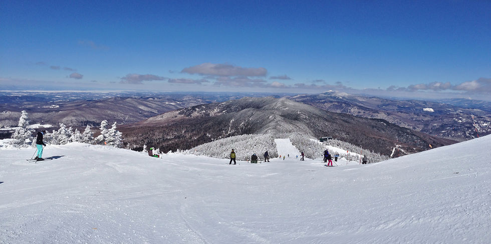 Sugarbush