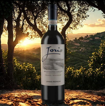 Vinhos Tintos (9).png