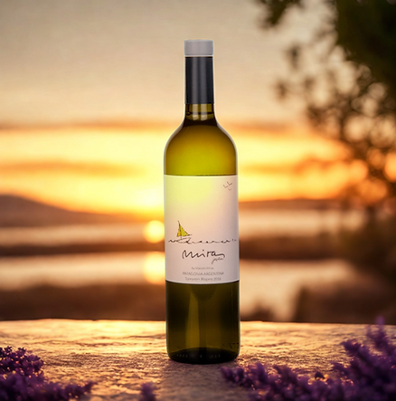 Vinhos Brancos SPA (9).png