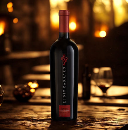 Vinhos Tintos (16).jpg