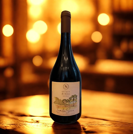 Vinhos Tintos (13).png