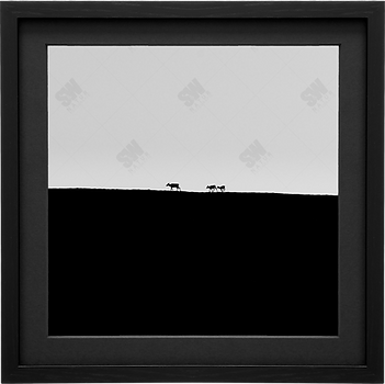 _7230670 Rahmen dunkel.png