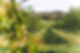 Outdoor, nature photography around Wilsonville, Oregon..jpg
