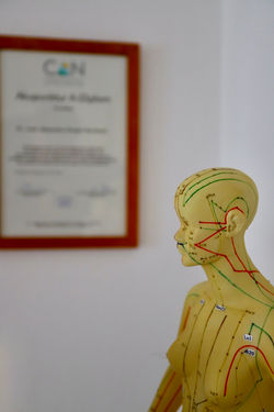 D4434D79-E993-4499-B8A2-3D33DE56CF90_1_105_c