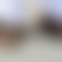 Birkenstock Research 