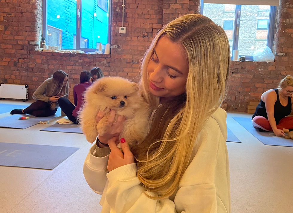 Puppy Yoga Liverpool, January 13th 2023, 2.30pm