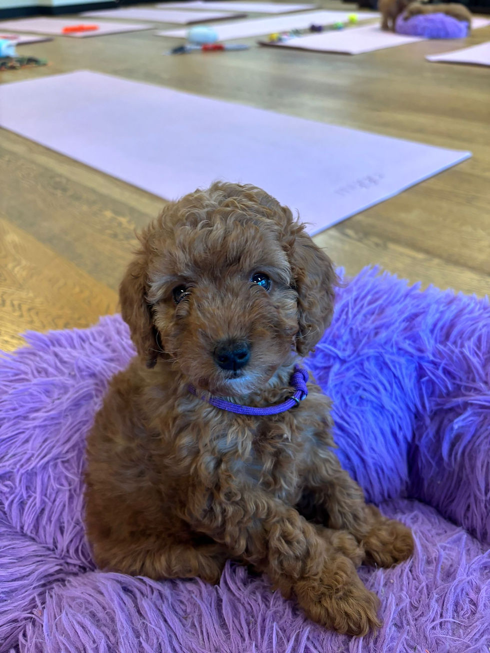 Leeds, 21st December, 11:30am 