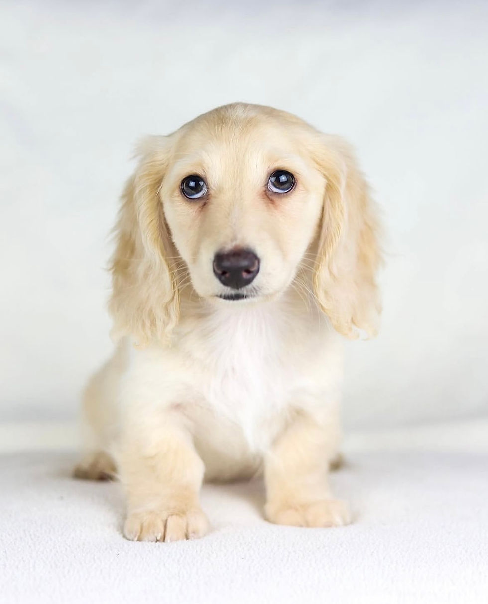 Manchester, 28th September, 2:30pm