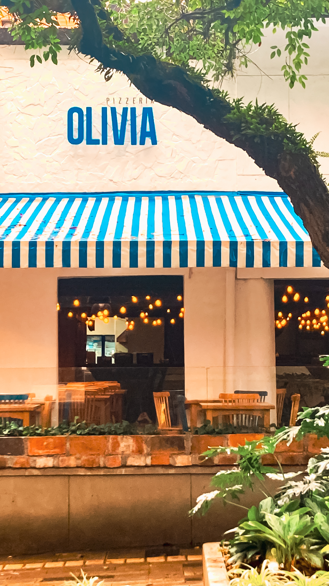 stories-olivia6.jpg