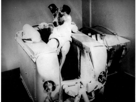 The Laika dog: hero or victim of space exploration?