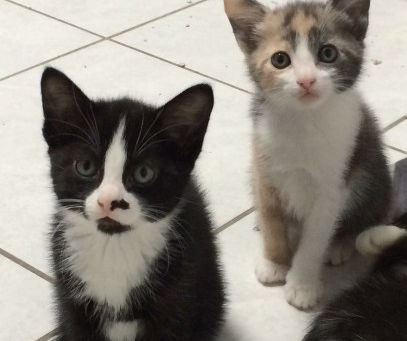 Et si on vous donnait des nouvelles de tout nos pensionnaires