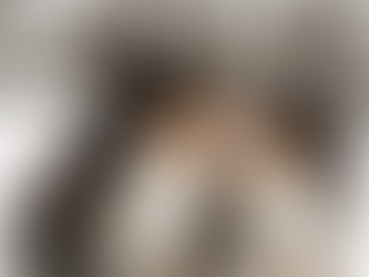 Why the Bernese Mountain dog puppy might be the best choice for your family