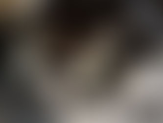 Sauvetage : 3 petits orphelins de 24h à peine
