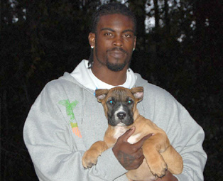 The shocking rise and fall of Michael Vick: from NFL superstar to dogfighting scandal