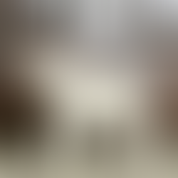 How to breed French Bulldogs: the hard truth no one tells you.