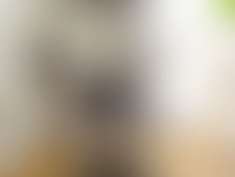 Arbre à chat design : L’alliance parfaite entre confort et esthétique pour votre félin