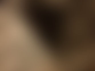 Nouvelle prise en charge : un chaton d’environ 10 jours