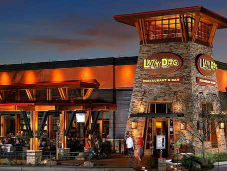 The lazy dog menu: comfort food or just an excuse to chill?