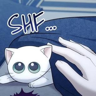 The possessive tyrant and his sleepy cat