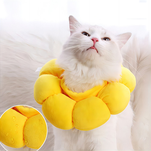 LOT DE NEZ en Plastique 12 mm pour Chats - Ajoutez une Touche Amusante