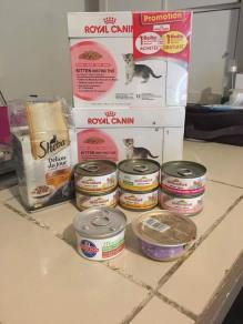 20706738_10212126831878505_958239441_n