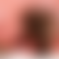 Discover the unmatched appeal of the Orange British Shorthair Kitten: a true family favorite