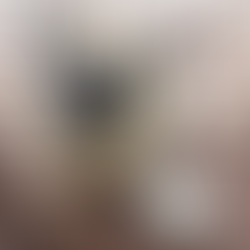 Pugs and French Bulldogs banned: is this the beginning of the end for flat-faced breeds?