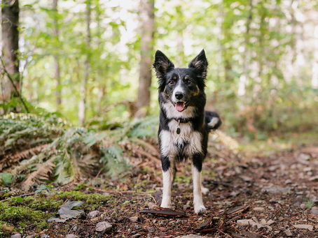 Happy Birthday Bryn!