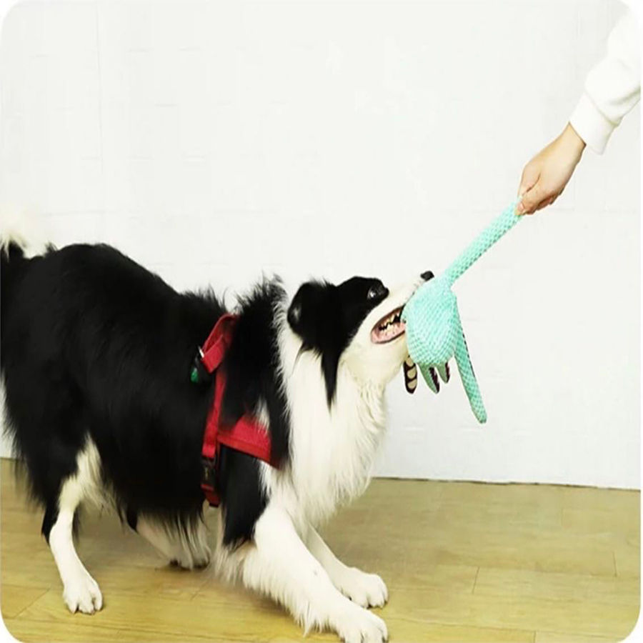 Thumbnail: jouet chien