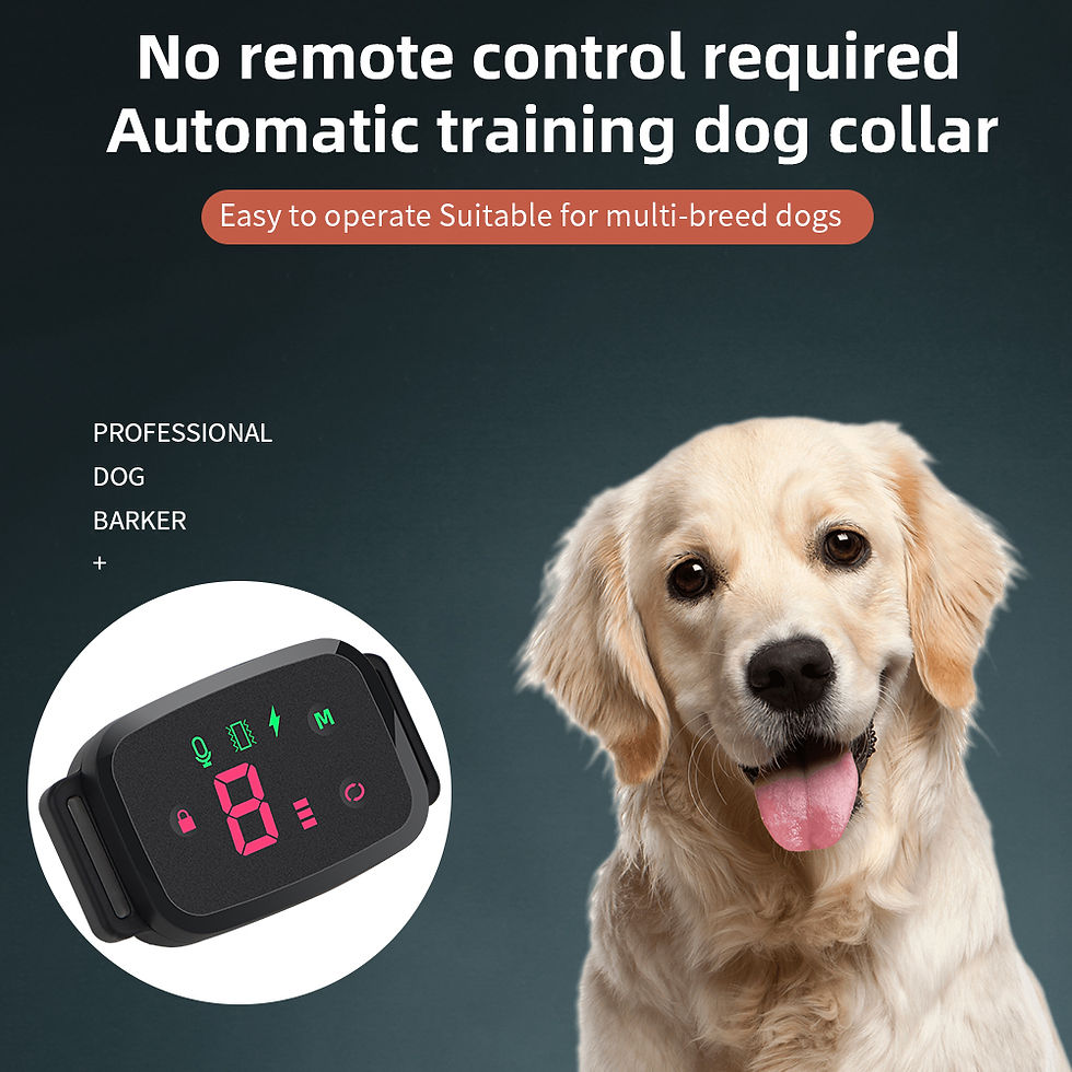 Miniatura: Collier antiaboiement intelligent pour chiens