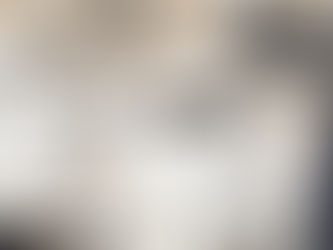 Première prise en charge de la saison chatons 2018