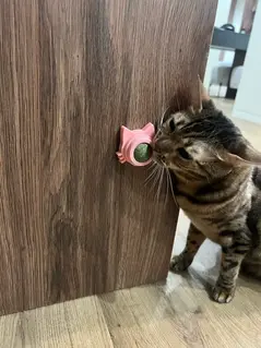 Boule murale chat favorisant la digestion