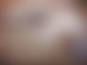 The Shih Tzu conspiracy: how this fluffy puppy stole my sanity (and why I’d do it all over again)