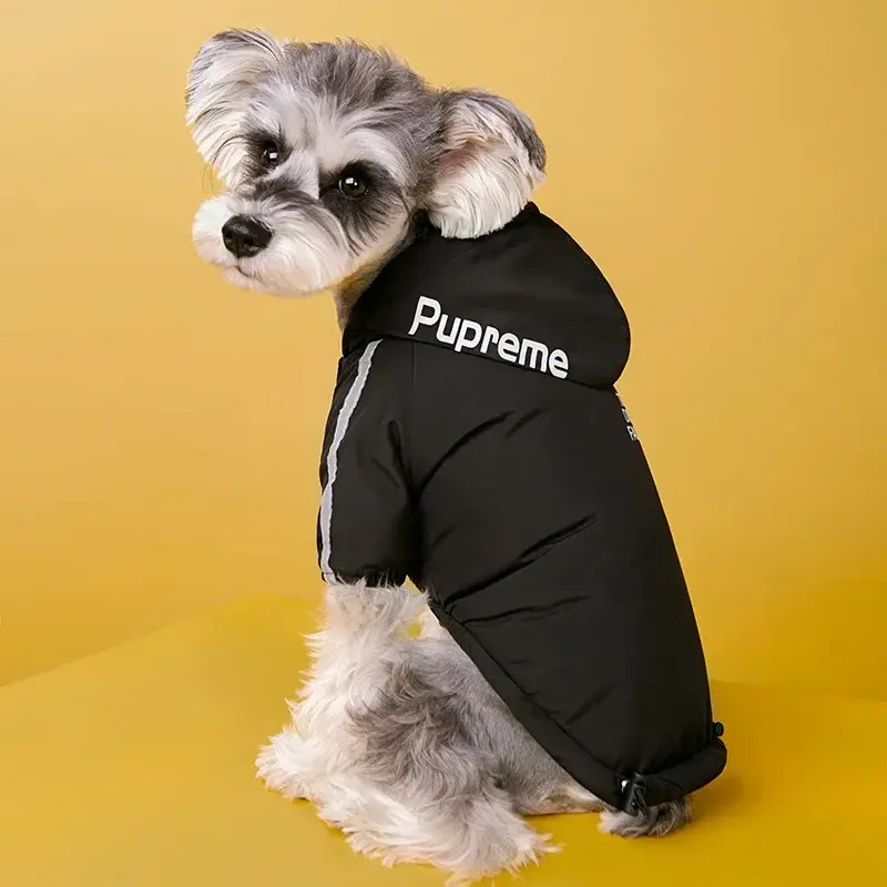 Thumbnail: veste chien