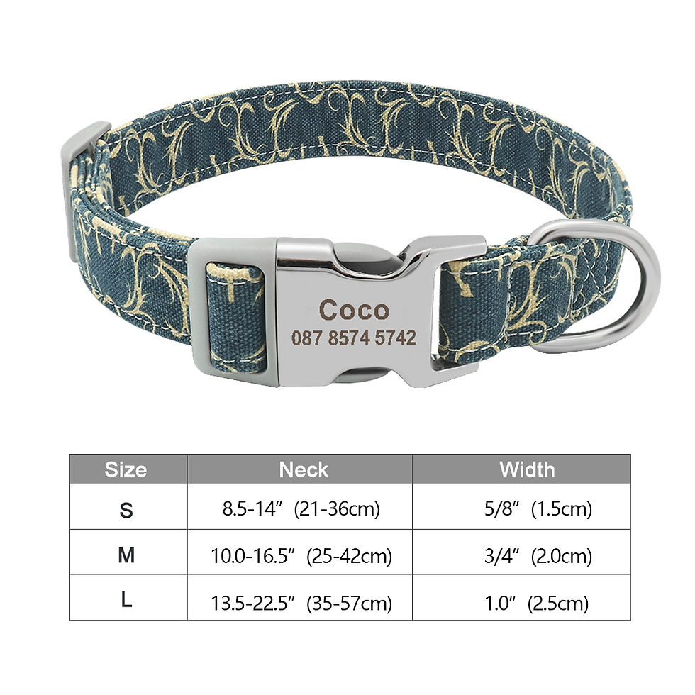 Miniatura: collier personnalisable chien