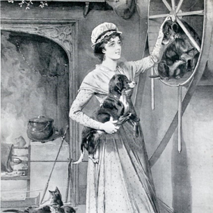The turnspit dog: the forgotten working dog of history.