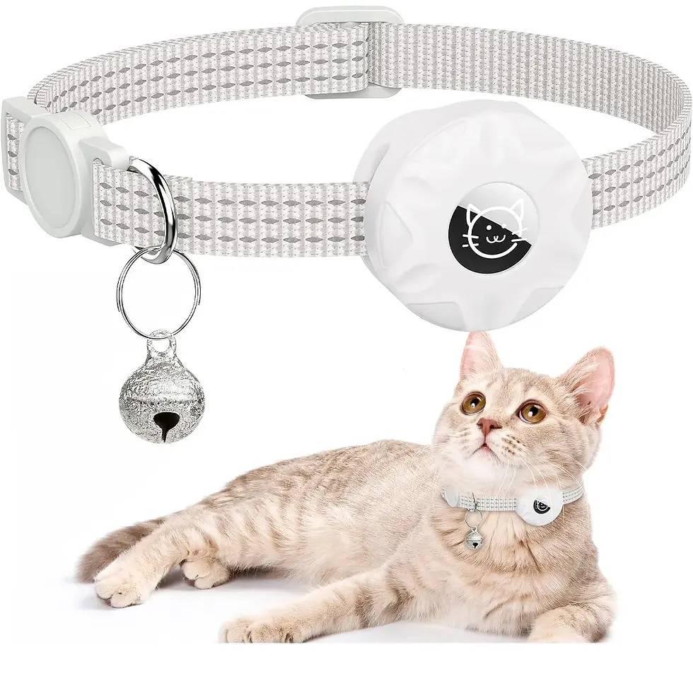 Thumbnail: collier gps chien chat