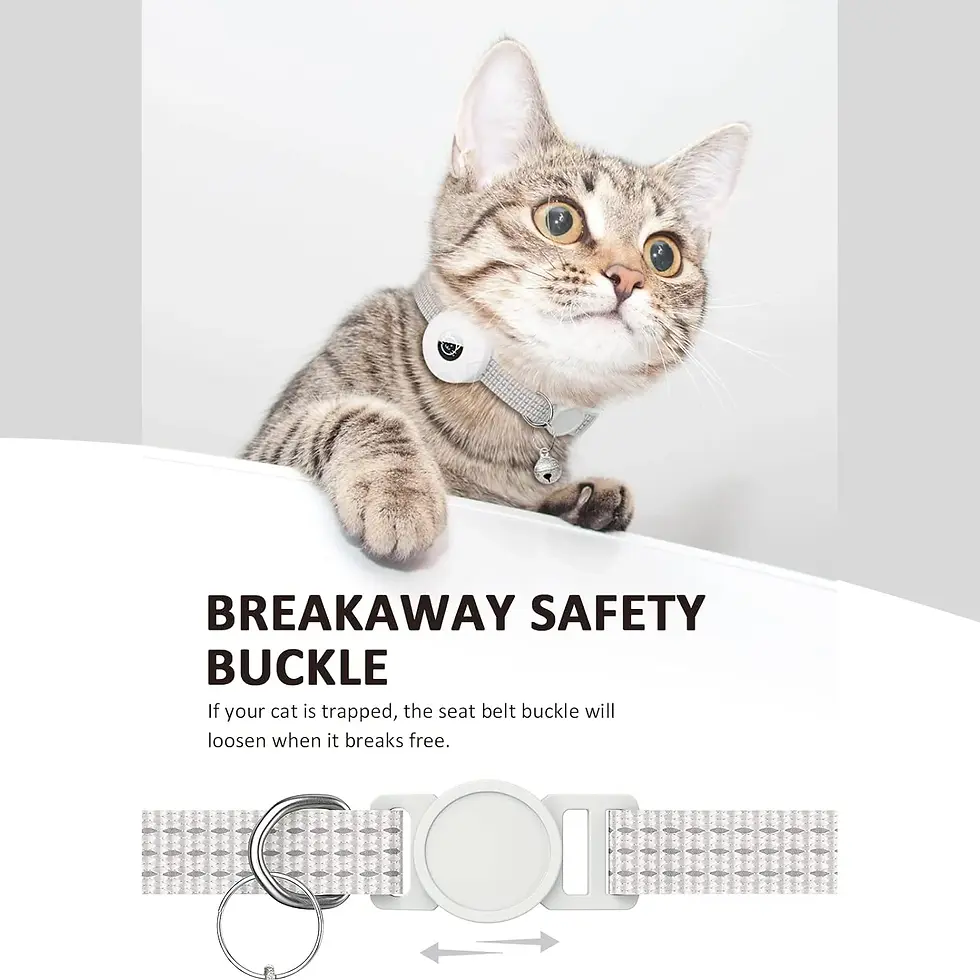 Miniature : collier gps chien chat