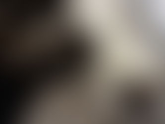 Nouvelle prise en charge : la saison des chatons est officiellement lancée