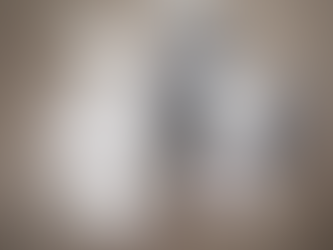 The black merle Border Collie: a rare and striking twist on a classic breed.