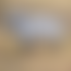 Why you need a raincoat for your dog (even if you think you don’t)