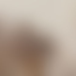 [Adoption] Artique née en octobre 2023 – Le Panorama des Animaux