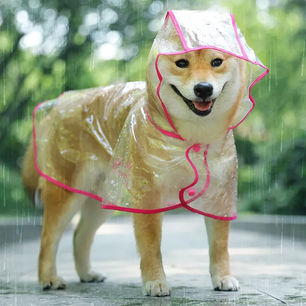 Paraguas para perros: la solución perfecta para los paseos bajo la lluvia